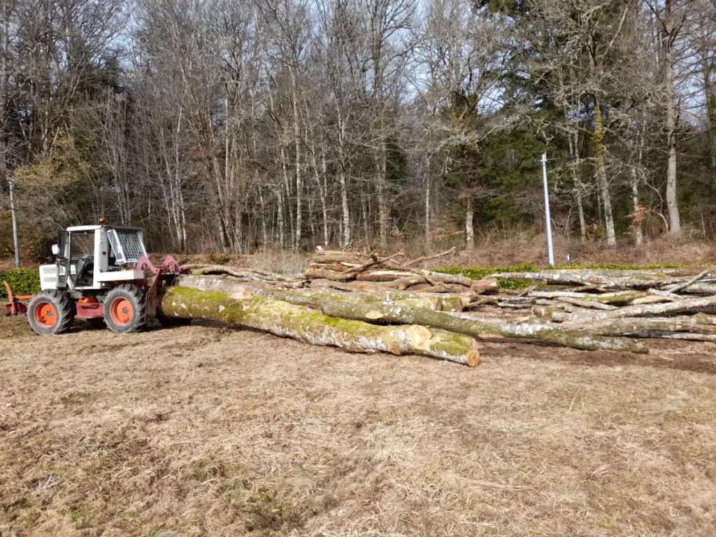 Bj Bois Vente De Buchettes Nouvelle Aquitaine Exploitation Forestiere 1