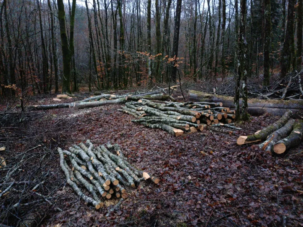 Bj Bois Vente De Buchettes Nouvelle Aquitaine Exploitation Forestiere 5