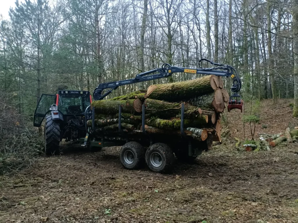 Bj Bois Vente De Buchettes Nouvelle Aquitaine Exploitation Forestiere 6