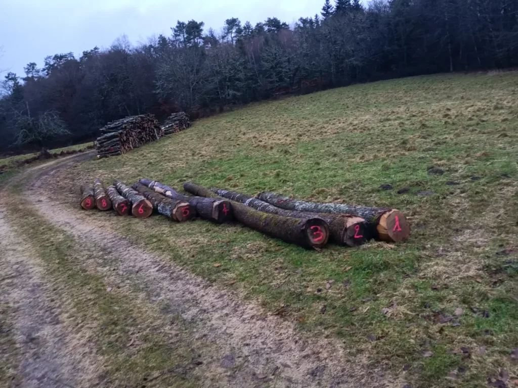 Bj Bois Vente De Buchettes Nouvelle Aquitaine Exploitation Forestiere 7