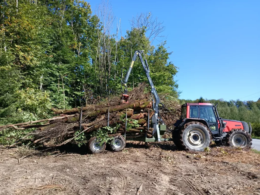 Bj Bois Vente De Buchettes Nouvelle Aquitaine Exploitation Forestiere 8