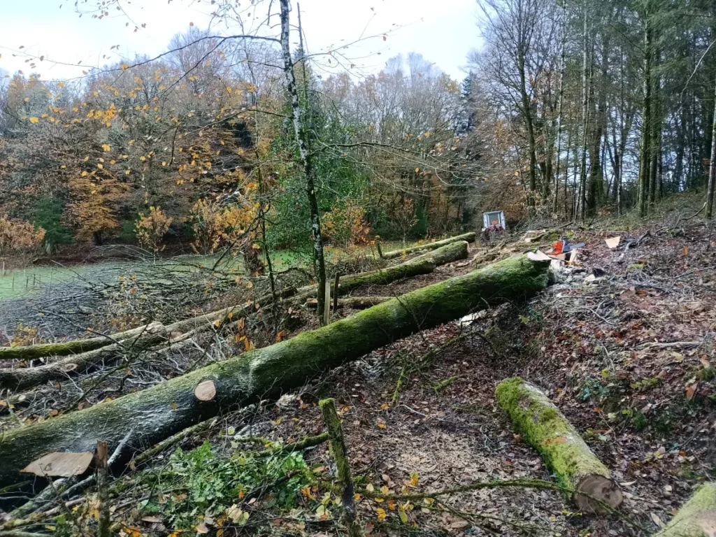 Bj Bois Vente De Buchettes Nouvelle Aquitaine Exploitation Forestiere 9