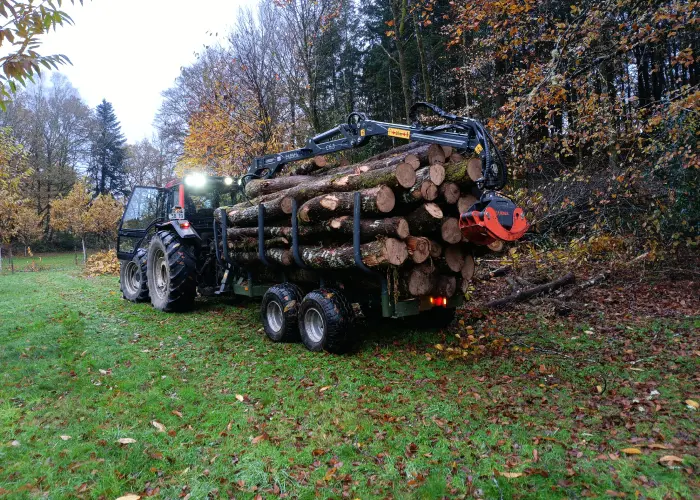 Bj Bois Vente De Buchettes Nouvelle Aquitaine Exploitation Forestiere